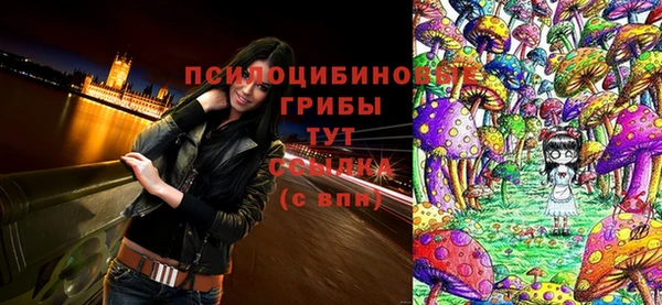 спиды Заволжск