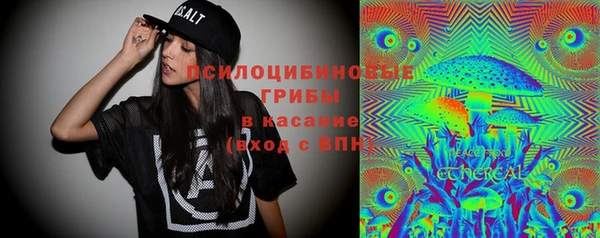 спиды Заволжск